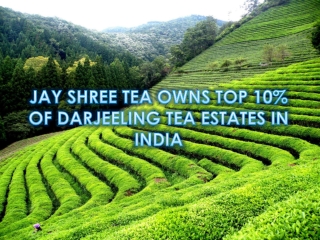 Jay Shree Tea Owns Top 10% of Darjeeling Tea Estates in India