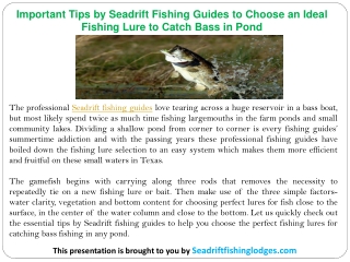 Important Tips by Seadrift Fishing Guides to Choose an Ideal Fishing Lure to Catch Bass in Pond