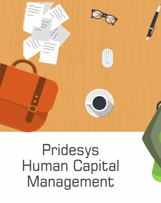 Human Capital Management | Pridesys IT Ltd