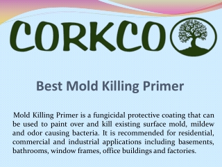 Best Mold Killing Primer