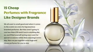 15 Cheap Perfumes With Fragrance Like Brands