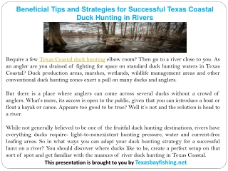 Beneficial Tips and Strategies for Successful Texas Coastal Duck Hunting in Rivers