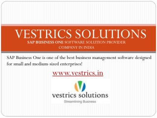SAP Business One in India - Vestrics