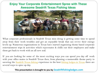 Enjoy Your Corporate Entertainment Spree with These Awesome Seadrift Texas Fishing Ideas