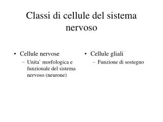 Classi di cellule del sistema nervoso