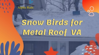 Cast Aluminum Snowbirds | Metal Roofs in Arlington VA | Alpha Rain