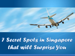 Secret Spots in Singapore that will Surprise You