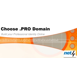 Choose .PRO Domain: Build your Professional Identity Online