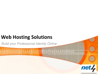 Web Hosting Solutions-Build your Professional Identity Onlin
