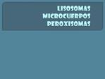 LISOSOMAS MICROCUERPOS peroxisomas
