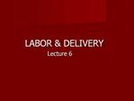 LABOR DELIVERY Lecture 6