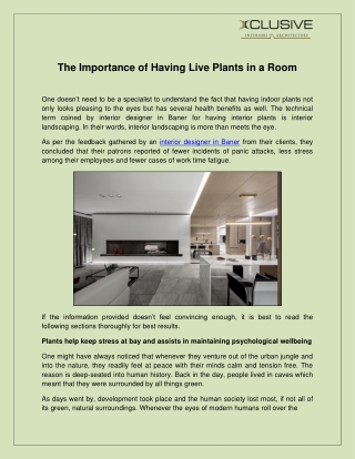 The Importance of Having Live Plants in a Room - Xclusive Interiors Pvt.Ltd