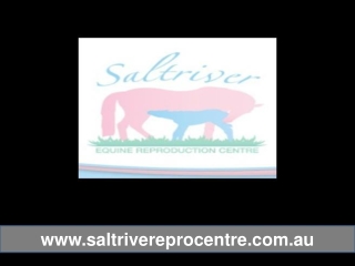 Saltriver Reproduction Centre - Facilities