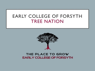 Early College of Forsyth tree nation