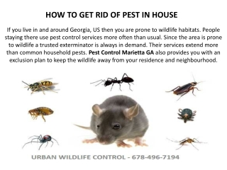 Pest Control services in Georgia