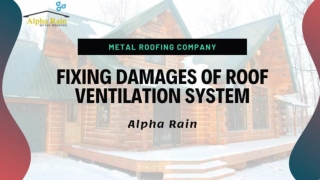 Identifying Metal Roofing Hail Damage | Alpha Rain