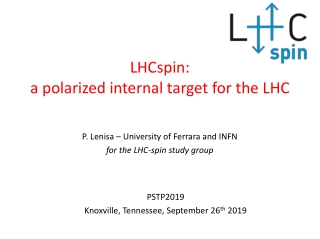 LHCspin : a polarized internal target for the LHC