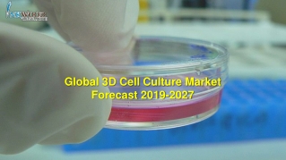 3D Cell Culture Market | Global Industry Growth Analysis Report 2019-2027