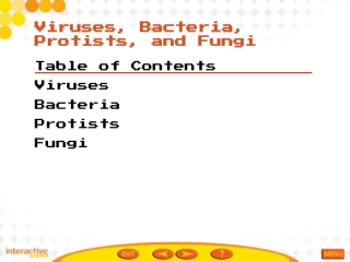 Table of Contents Viruses Bacteria Protists Fungi