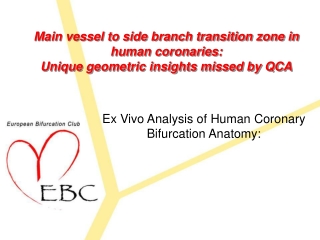 Ex Vivo Analysis of Human Coronary Bifurcation Anatomy: