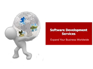 Software Development Services to Expand Your Business Worldw