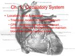 Ch. 11 Circulatory System