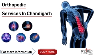 Orthopedic Services in Chandigarh | Orthopaedic Treatment in Chandigarh Edit 50%