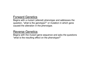 Forward Genetics