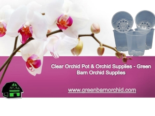 Clear Orchid Pots - Green Barn Orchid Supplies