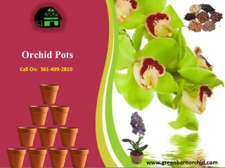 Different types of Orchid Pots Available: Shop.Greenbarnorchid.com