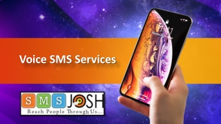 Bulk Voice SMS Hyderabad, Voice Call Service Provider in Hyderabad - SMSjosh
