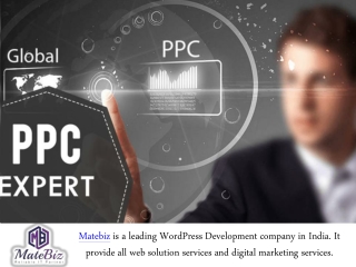 Get Benefits By Hiring A PPC Expert In India