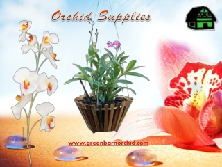 Orchid Supplies Online for Sale - Green Barn Orchid Supplies