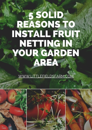 5 Solid Reasons to Install Fruit Netting In Your Garden Area