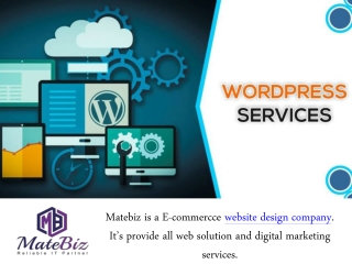 We Provides Best offshore WordPress development Services In India