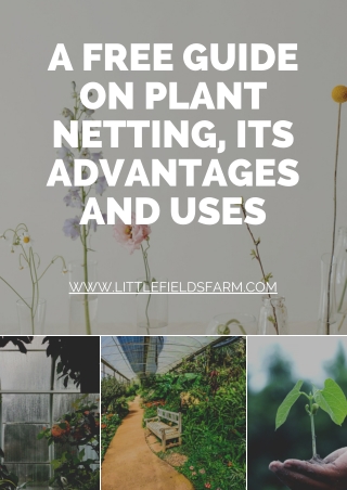 A Free Guide on Plant Netting, Its Advantages and Uses
