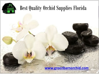 Best Quality Orchid Supplies Florida