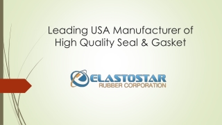 Leading Silicone Rubber Seals & Gaskets