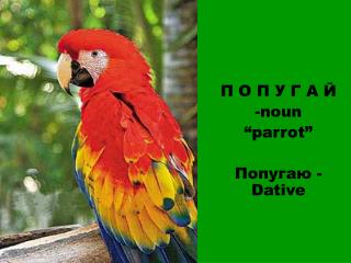 П О П У Г А Й noun “parrot” Попугаю - Dative