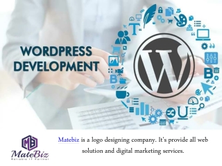 Contact Us To Hire Best WordPress Developers