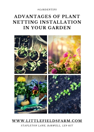 Advantages of Plant Netting Installation in Your Garden