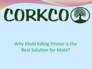 Why Mold Killing Primer is the Best Solution for Mold?