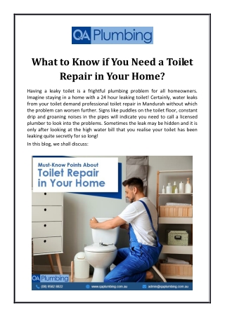 What to Know if You Need a Toilet Repair in Your Home?