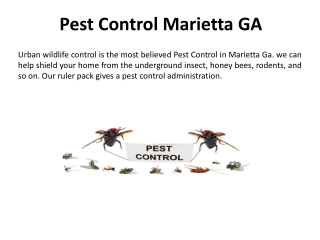 Best Pest Control in Marietta Ga