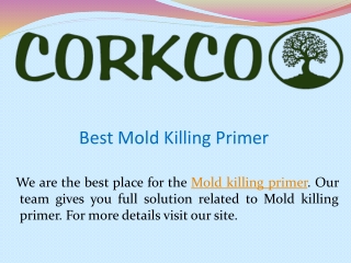 Best Mold Killing Primer