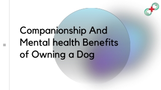 Companionship And Mental health Benefits of Owning a Dog