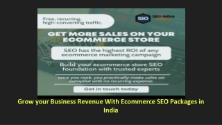 Grow your Business Revenue With Ecommerce SEO Packages in India