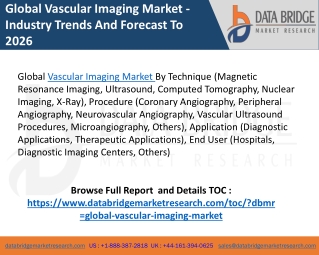 Vascular Imaging Market