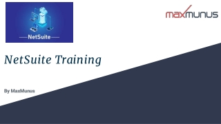 NetSuite Training by MaxMunus