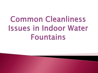 Common Cleanliness Issues in Indoor Water Fountains